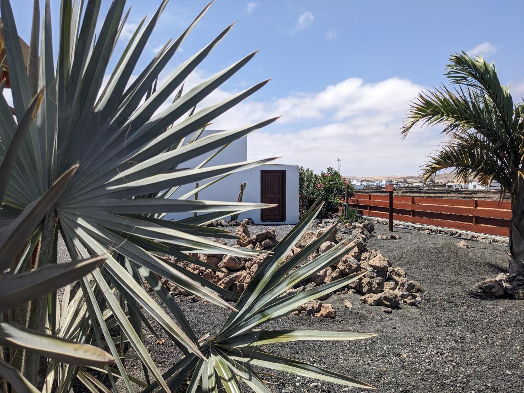 Casa Cocoon, Sun&Freedom, 8 Mn From Beaches, Internet Fiber 라하레스 외부 사진